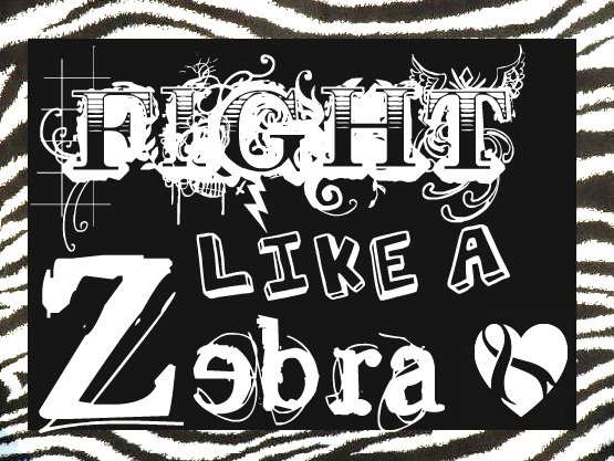Fight like a zebra Fight like a zebra