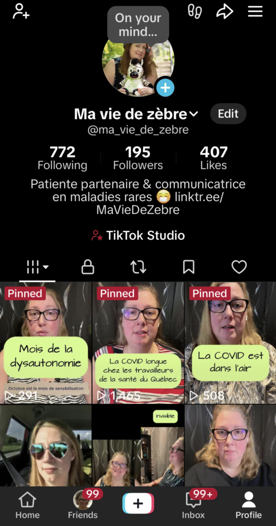 Capture d'écran du profil TikTok de Ma vie de zèbre.